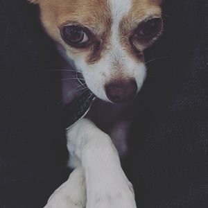 Meet your Posher, Aidan